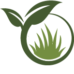 Strive Tree Planting