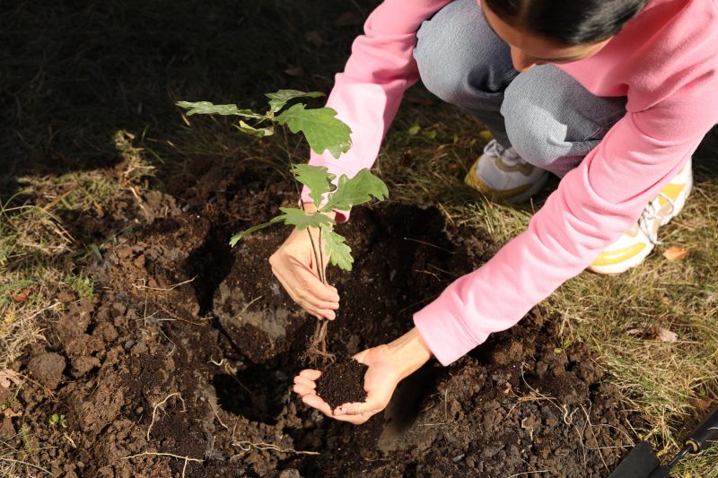 Tree Planting detail
