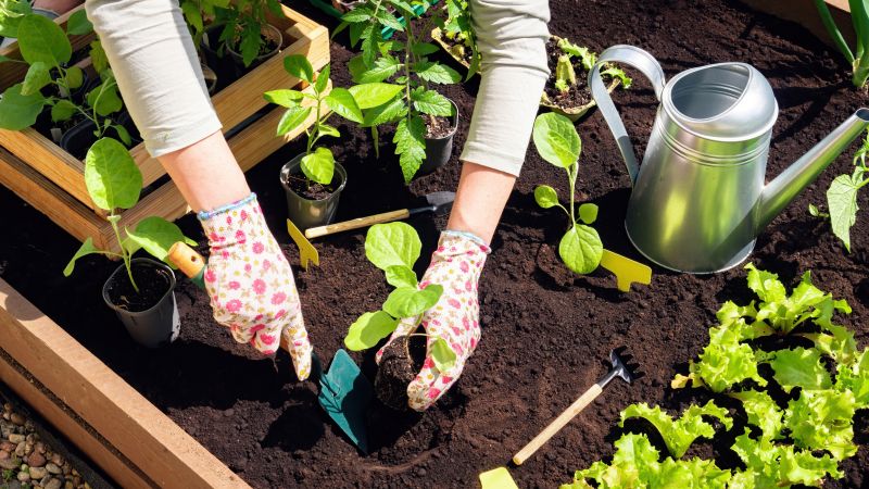 Perennials Planting in Ventura County, CA